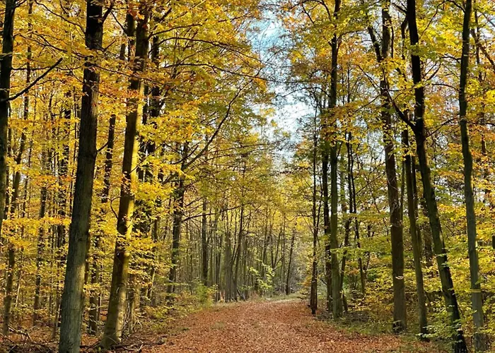 胡瑟科隆美尼公寓式酒店 *