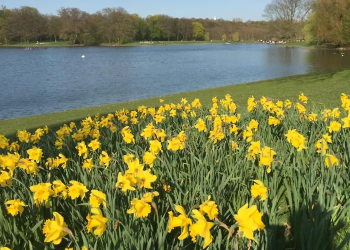 公寓 胡瑟科隆美尼公寓式酒店 *